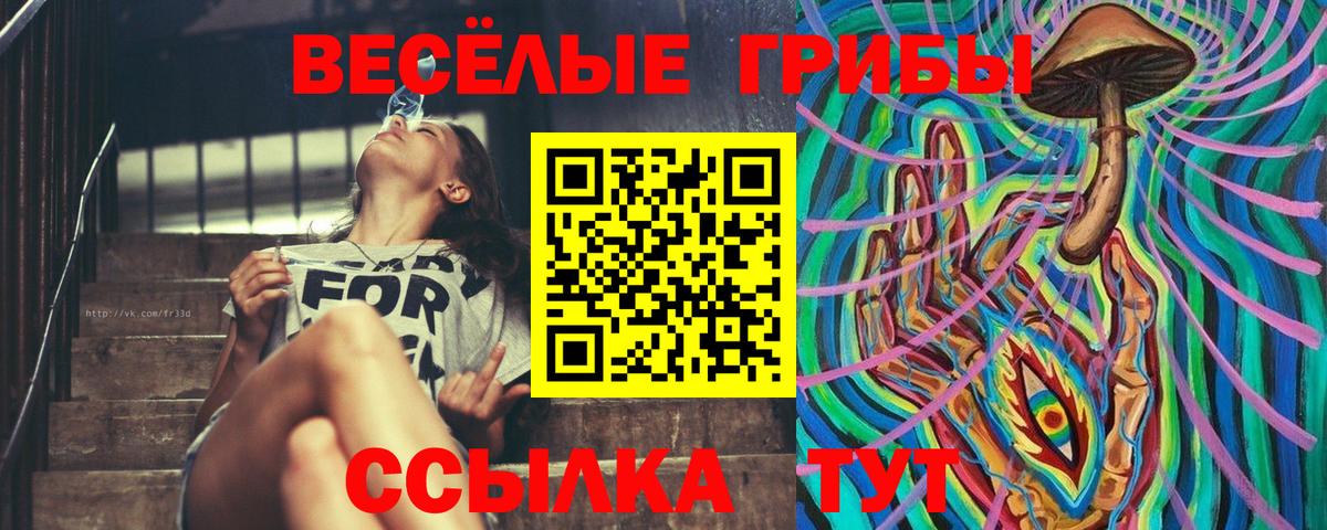 Псилоцибиновые грибы Cubensis Будённовск