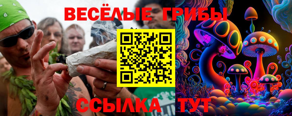 Псилоцибиновые грибы Psilocybe  Вход с VPN  Будённовск 